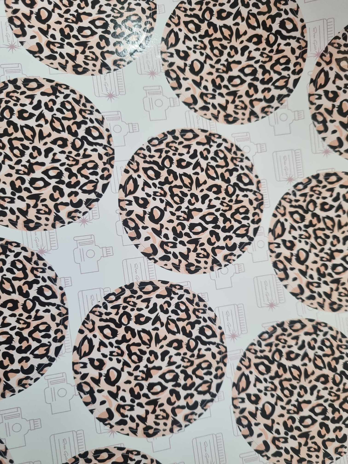 Safari Collection - Just Because - Design One - ROUND