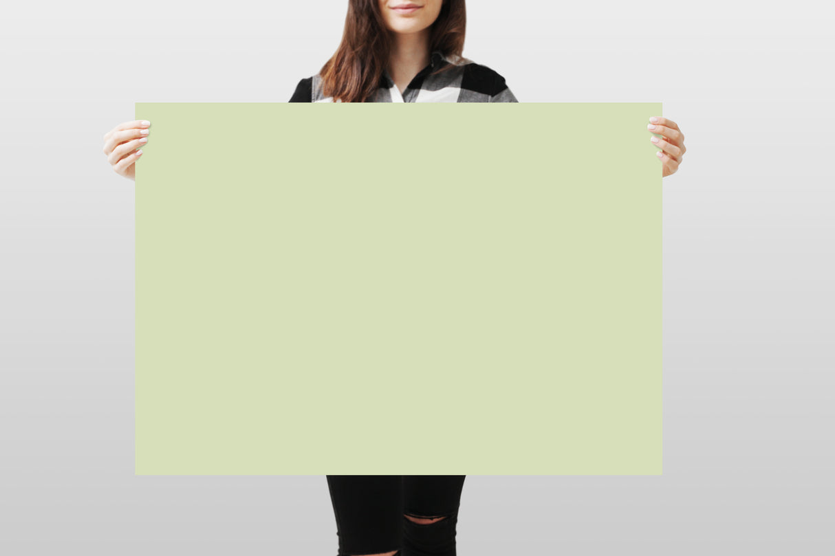 Photography Backdrop - Pastel Green