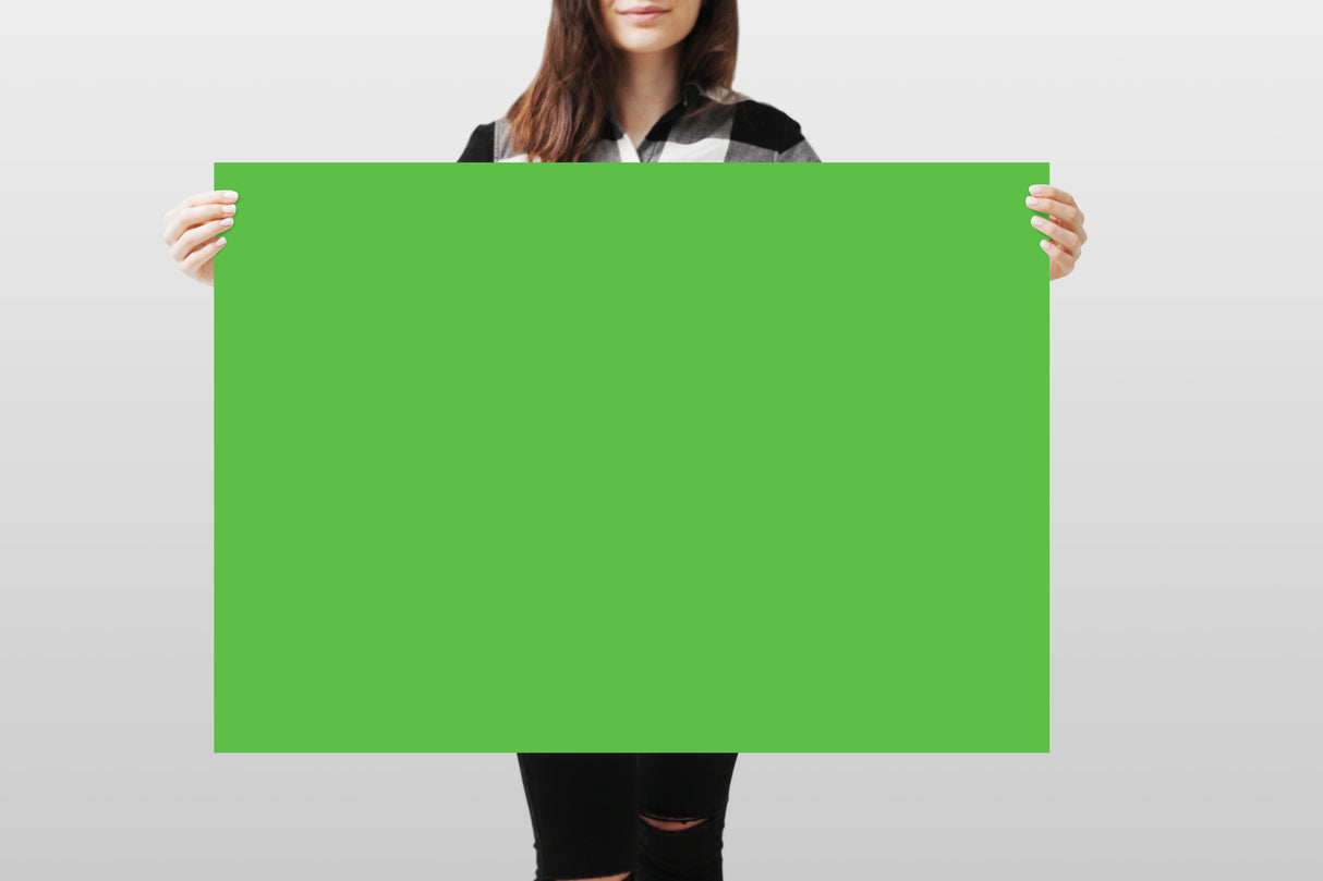 Photograph Backdrop - Lime