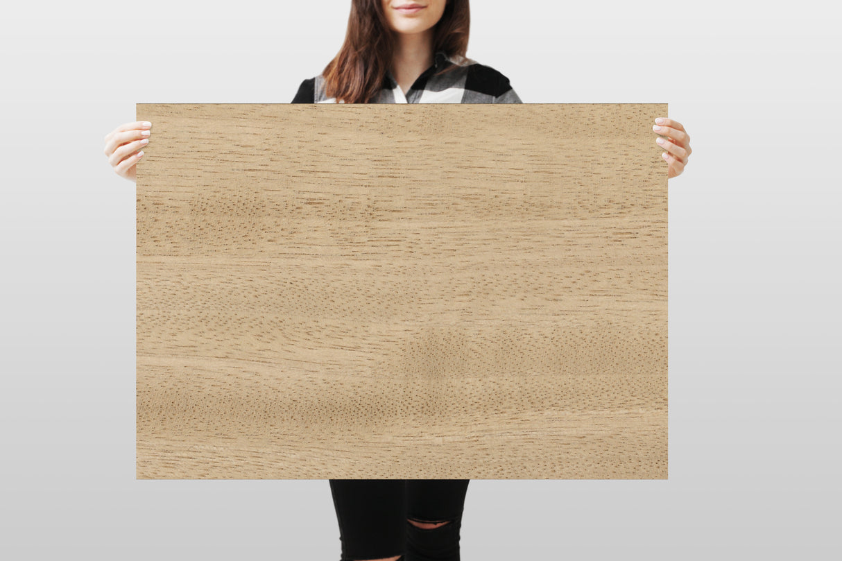 Photography Backdrop - Rustic 11