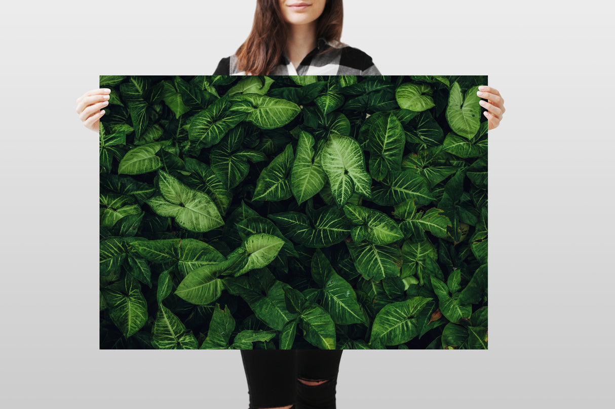Photography Backdrop - Leaves