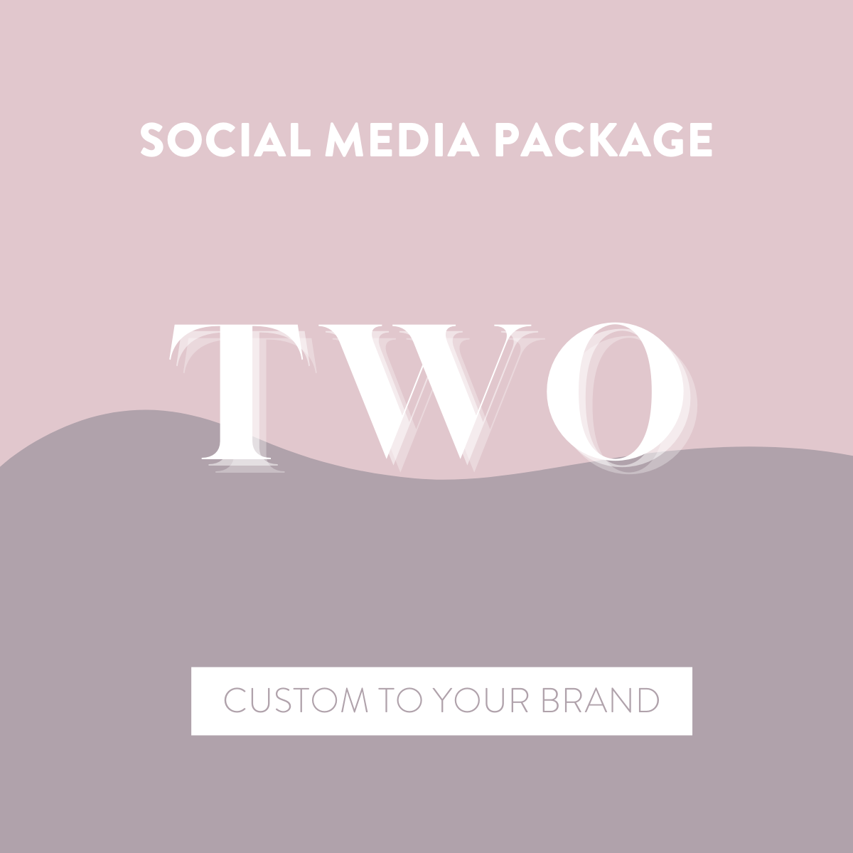 Canva Social Media Package TWO