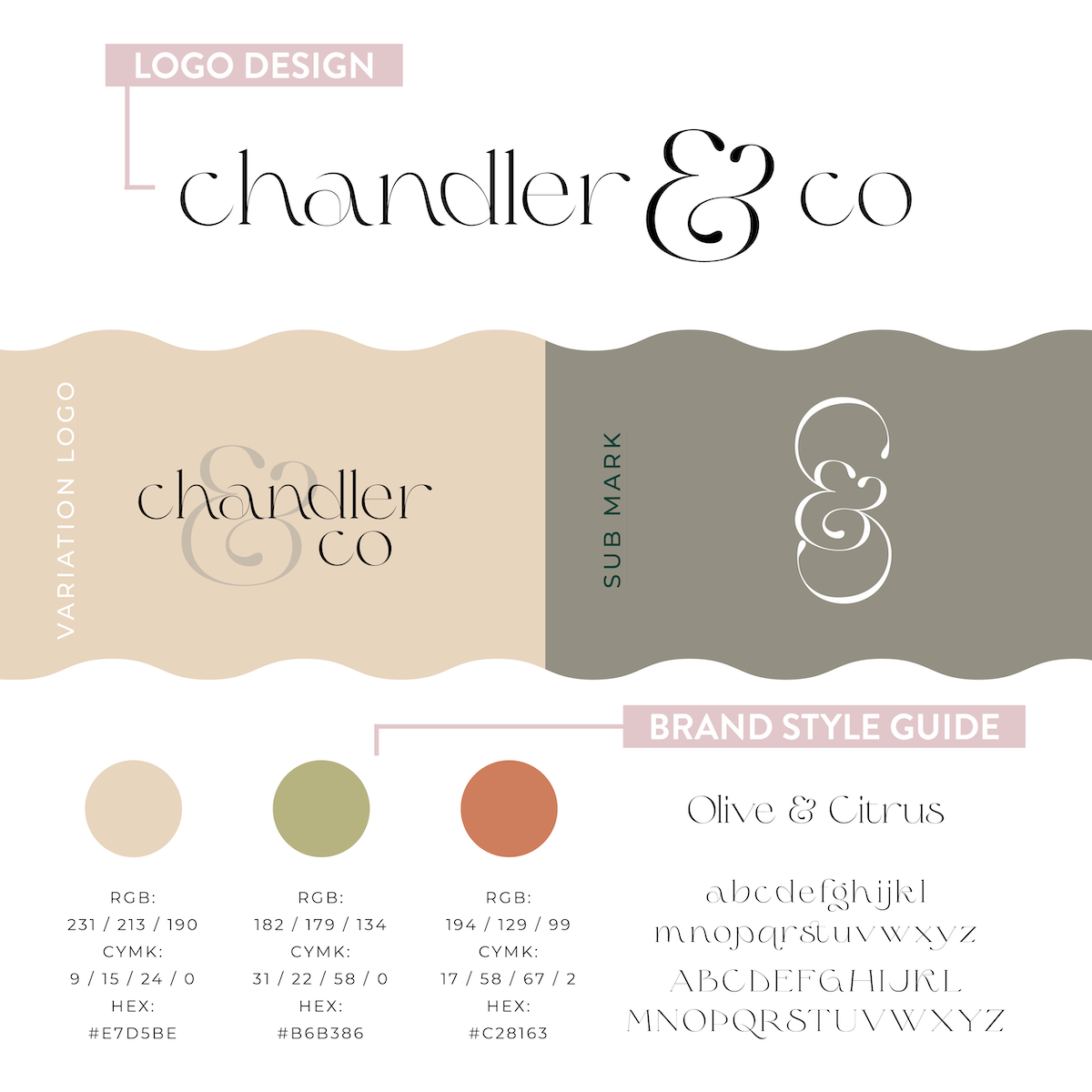 The Starter Pack Branding Package