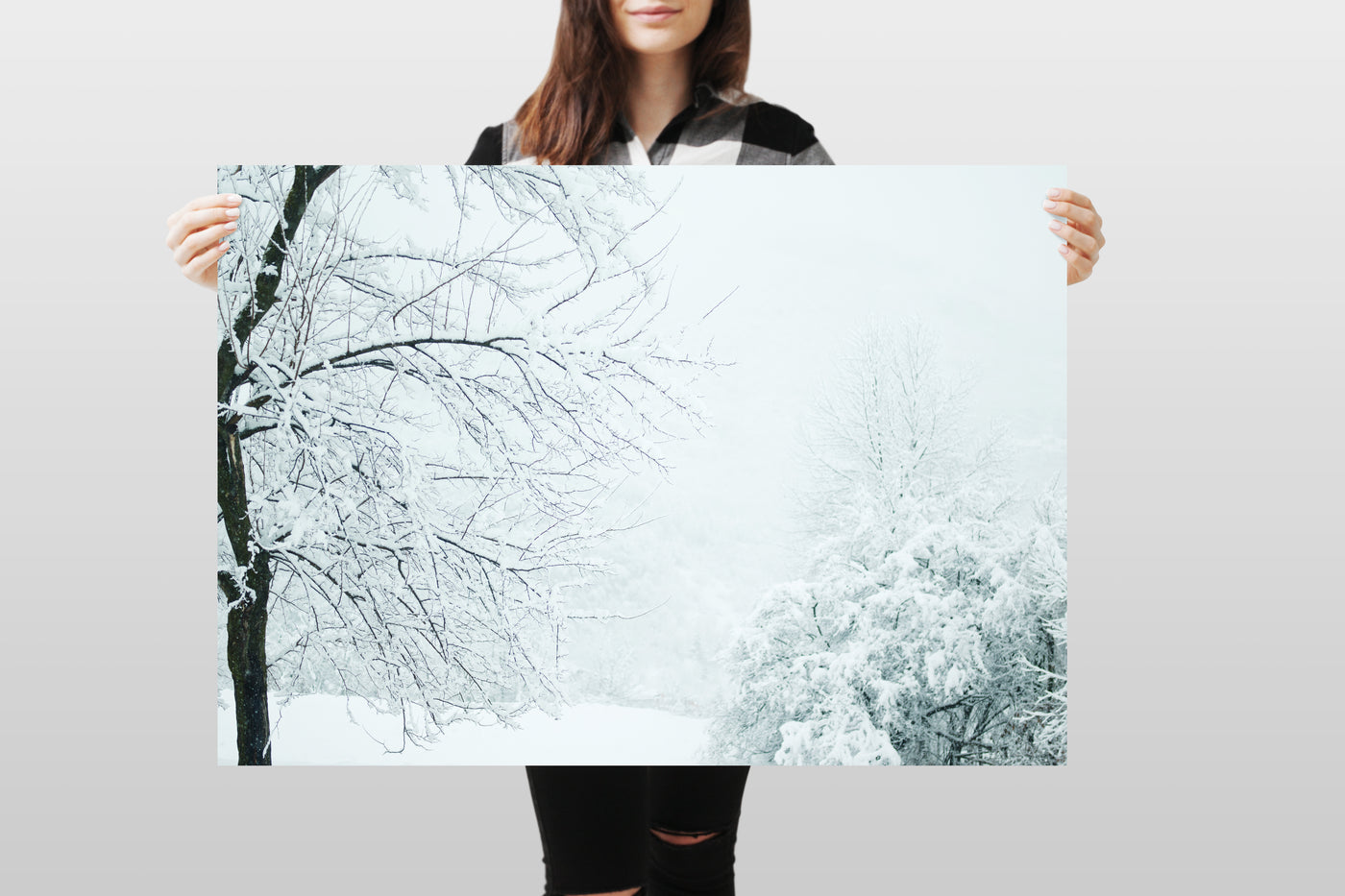 Photography Backdrop - Winter