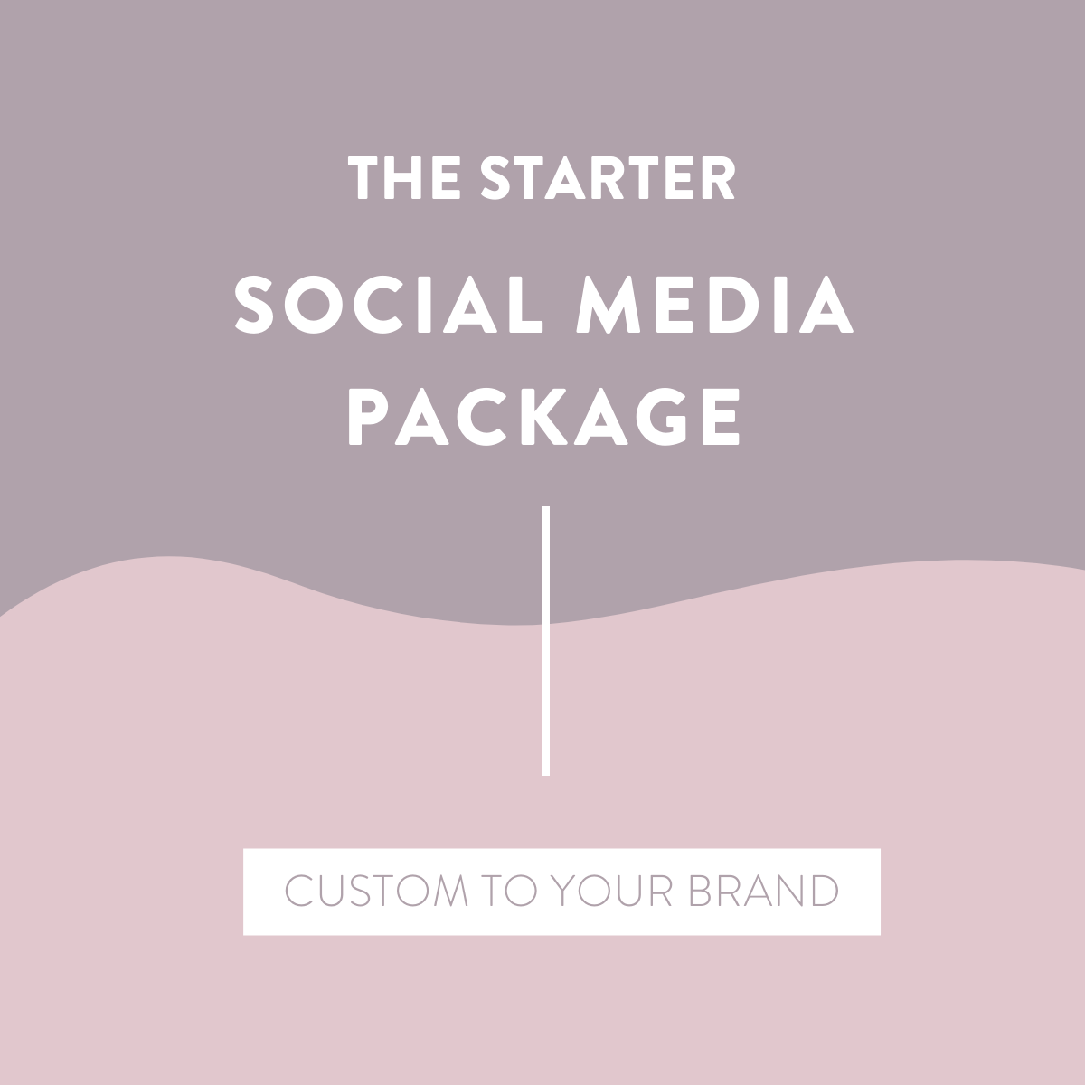 The Starter Social Media Package