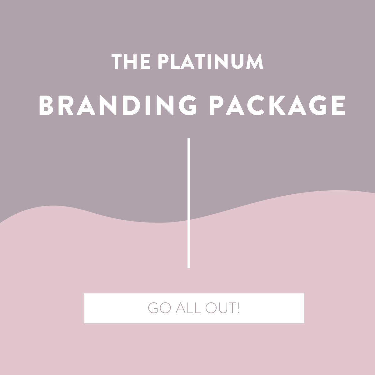 The Platinum Branding Package